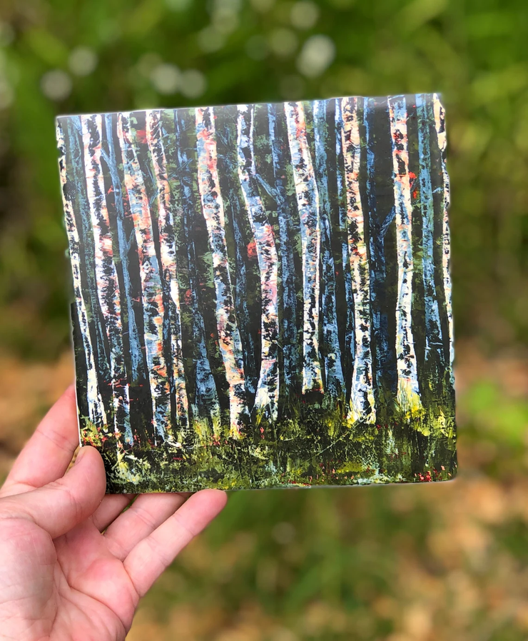 White Birch Trees Ceramic Tiles - Indoor and Outdoor Use