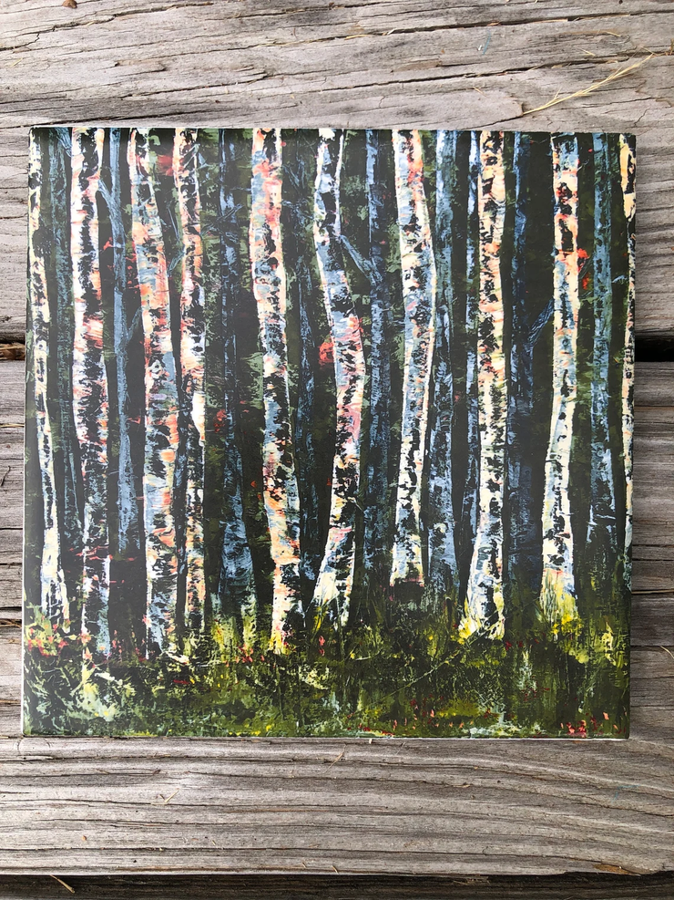White Birch Trees Ceramic Tiles - Indoor and Outdoor Use