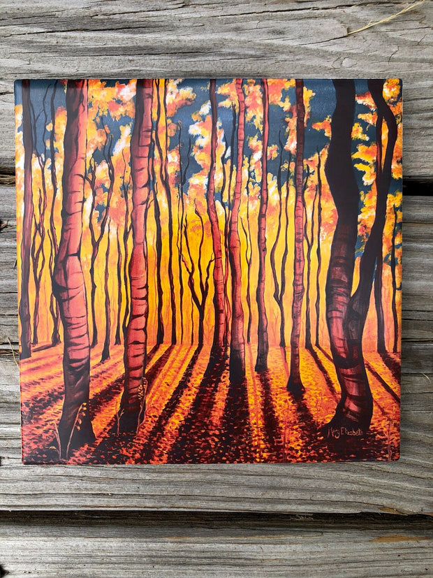 Birch Trees in the Fall Ceramic Tiles - Indoor and Outdoor Use