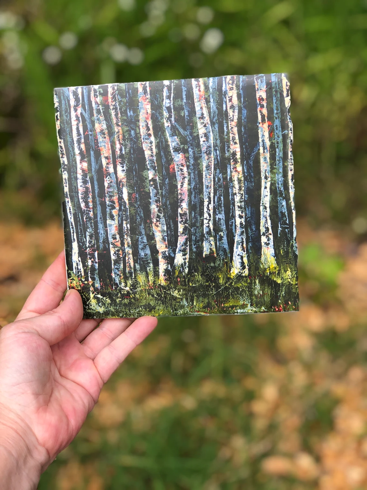 White Birch Trees Ceramic Tiles - Indoor and Outdoor Use