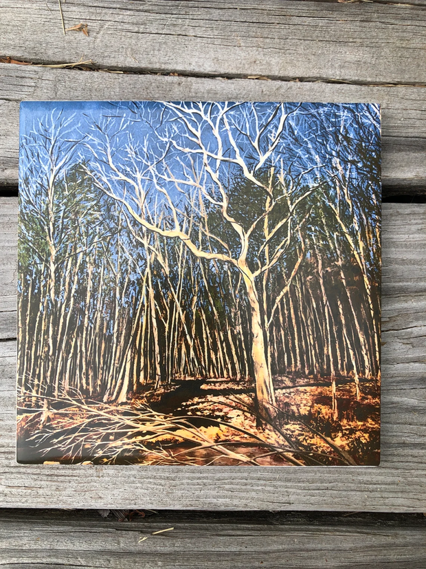Durham Forest Ceramic Tiles - Indoor and Outdoor Use