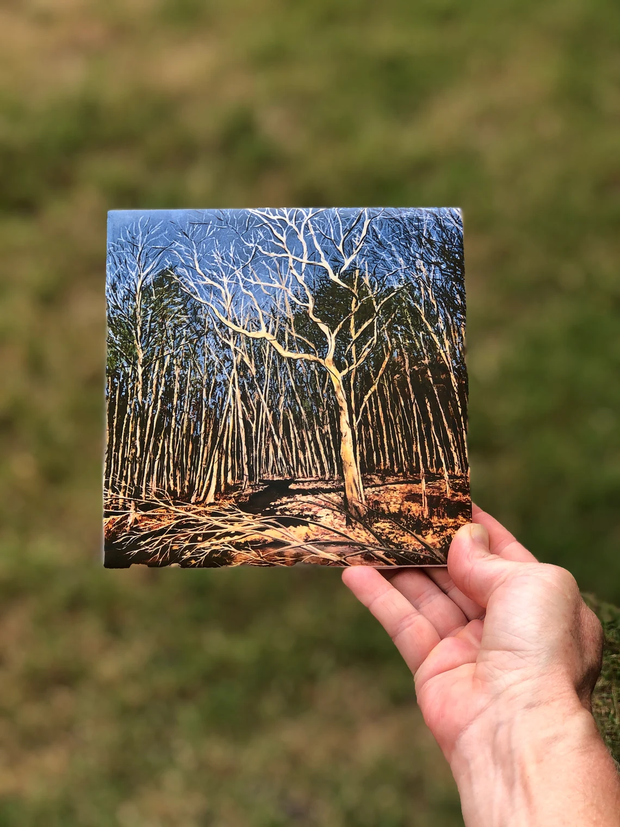 Durham Forest Ceramic Tiles - Indoor and Outdoor Use