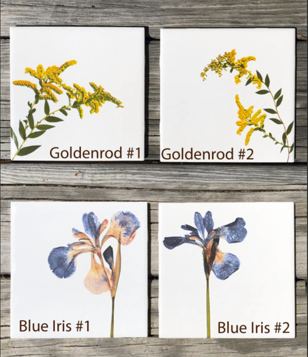You Pick The Designs - Garden Botanical Ceramic Tiles - 6 x 6 inches - Indoor and Outdoor Use