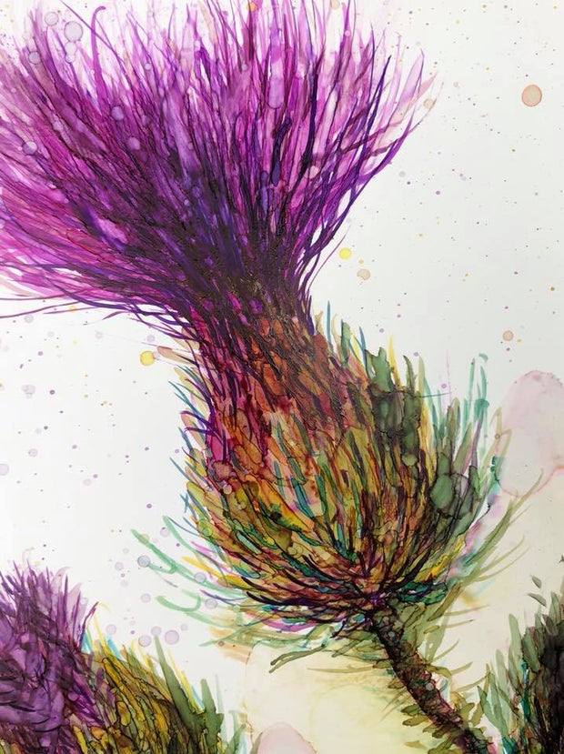 Three Thistles : Greeting Card