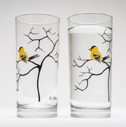 Finch Glasses