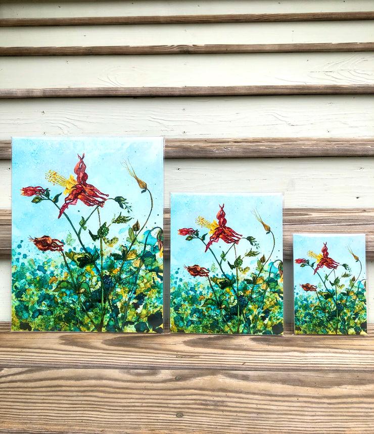 Red Columbine Flowers : Prints