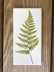 Summer Fern Ceramic Tile - Indoor and Outdoor Use