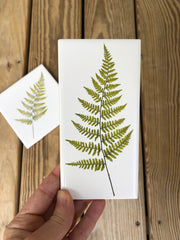 Summer Fern Ceramic Tile - Indoor and Outdoor Use