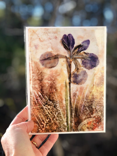 Pressed Iris Encaustic Art : Greeting Card