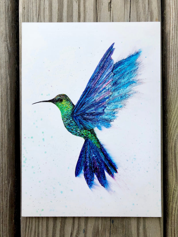 Boxed Set Collection of 3 Art Prints: 5 x 7 inch Prints including Hummingbird, Thistle and Field of Flowers Artist Paintings