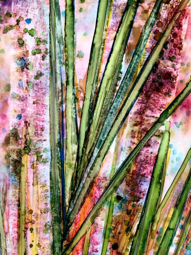 Saw Palmettos : Prints