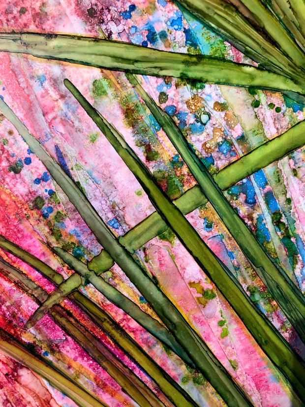 Saw Palmettos : Prints