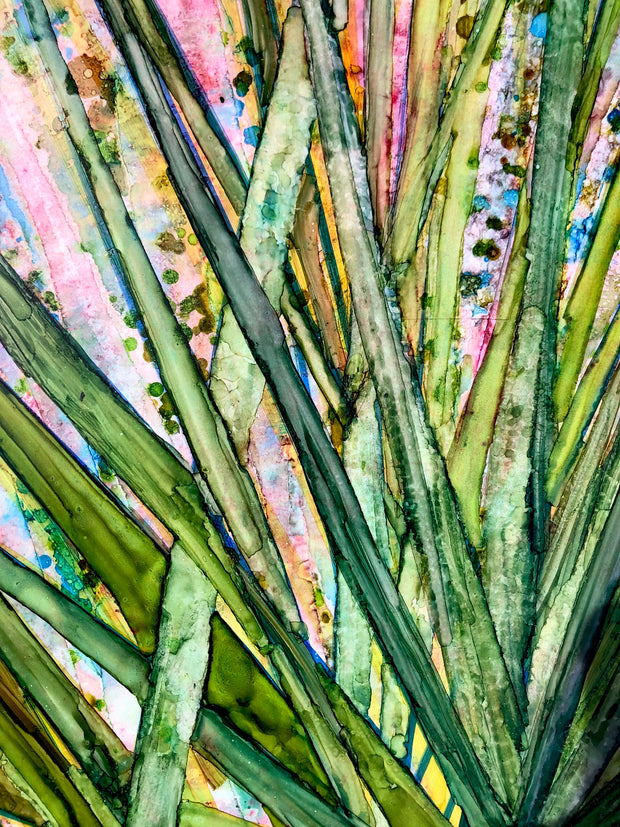 Saw Palmettos : Prints