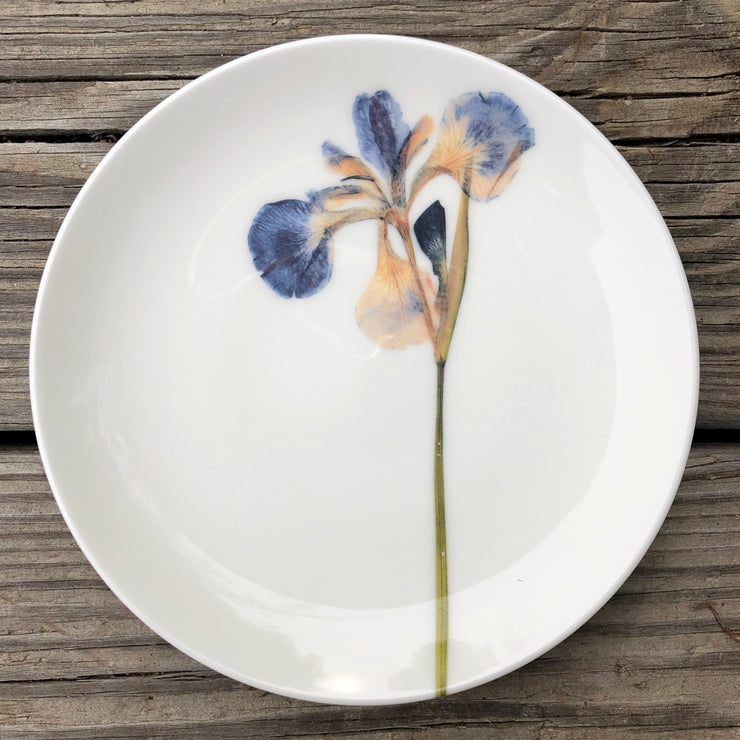 Pressed Blue Iris Porcelain Plates