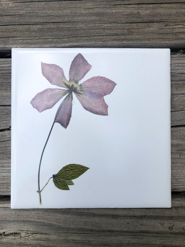 Pressed Clematis Ceramic Tile - Indoor and Outdoor Use