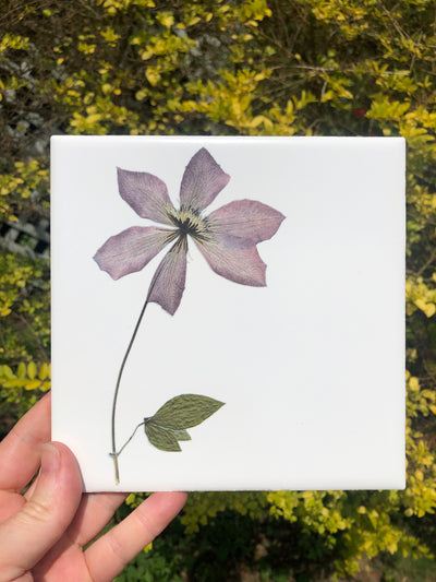 Pressed Clematis Ceramic Tile - Indoor and Outdoor Use