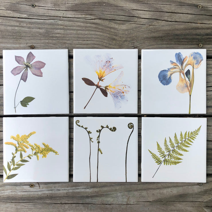 Set of 6 Botanical Ceramic Tiles - Indoor and Outdoor Use