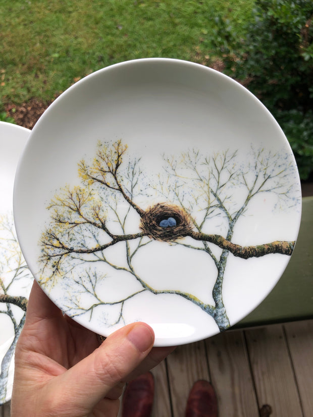 Birds Nest Porcelain Plates