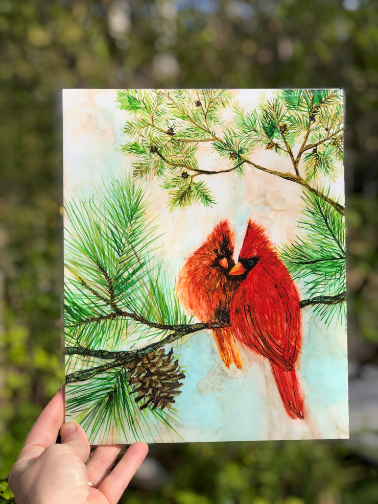 Cardinal Lovebirds : Art Prints
