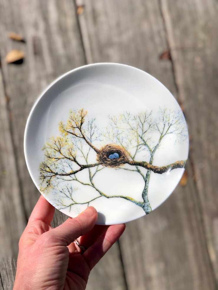 Birds Nest Porcelain Plates