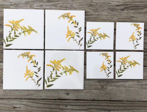 Goldenrod Flower Ceramic Tiles : Indoor and Outdoor Use