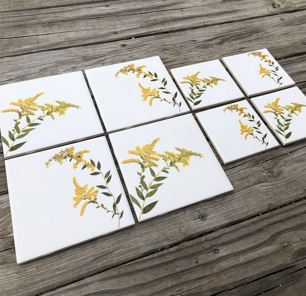 Goldenrod Flower Ceramic Tiles : Indoor and Outdoor Use