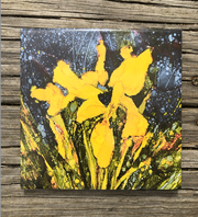 Yellow Irises Ceramic Tile - Indoor and Outdoor Use