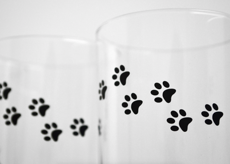 Cat and Paw Glasses : Set of 4