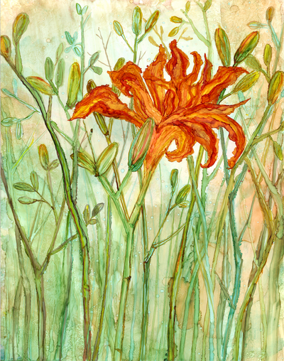 Orange Daylily : Prints