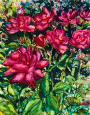 Pink Roses: Prints