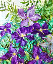 Purple Clematis : Prints