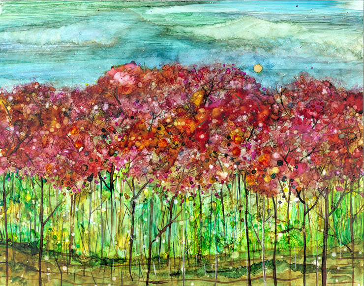 Spring Forest : Greeting Card