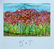 Spring Forest : Greeting Card