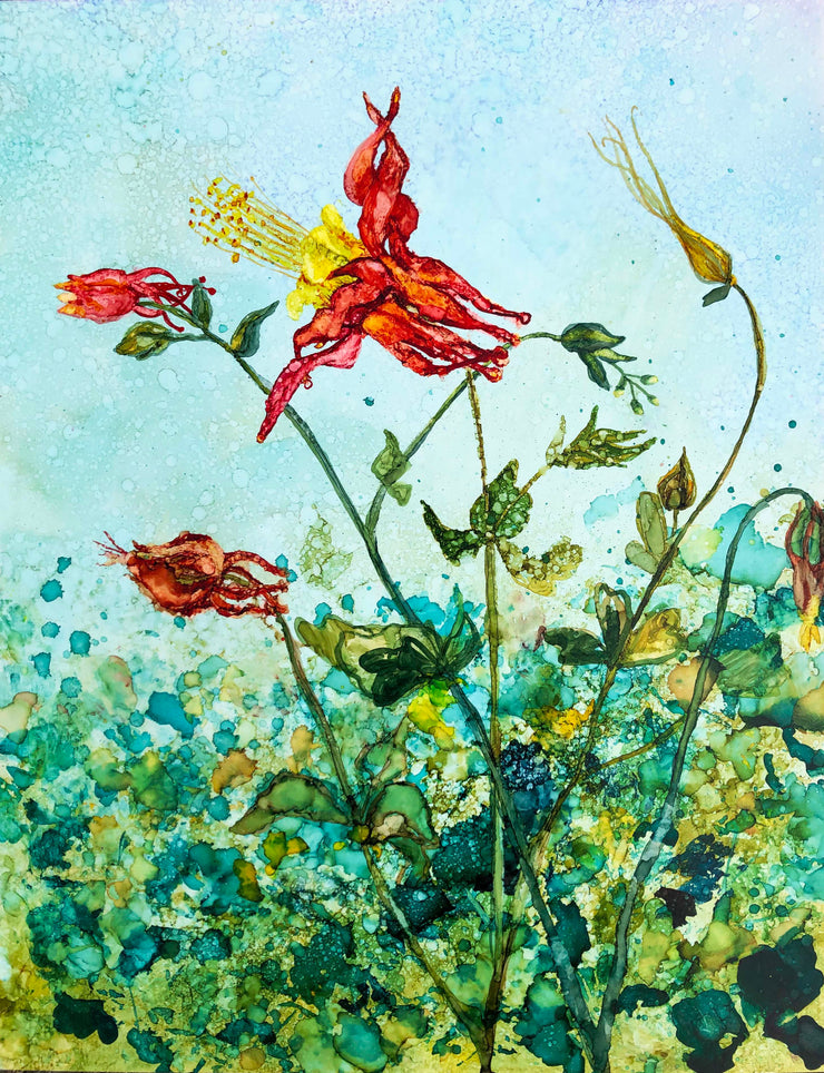 Red Columbine Flowers : Prints