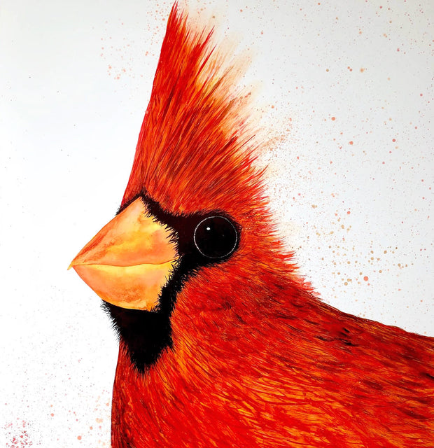 Big Red Cardinal