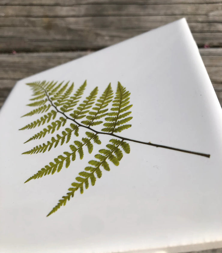 Summer Fern Ceramic Tile - Indoor and Outdoor Use