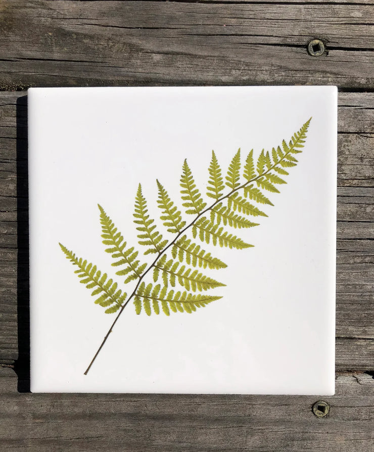 Summer Fern Ceramic Tile - Indoor and Outdoor Use