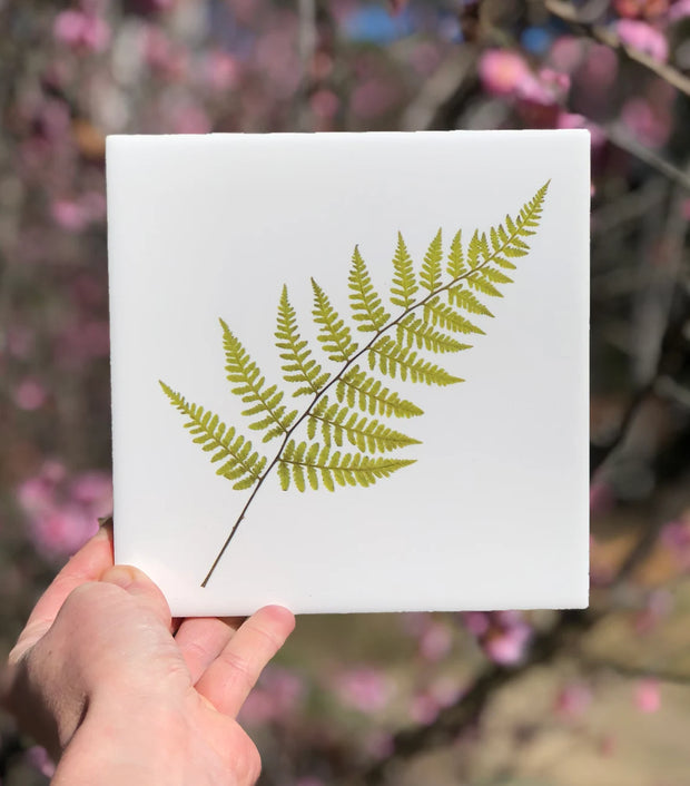 Summer Fern Ceramic Tile - Indoor and Outdoor Use