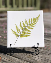 Summer Fern Ceramic Tile - Indoor and Outdoor Use