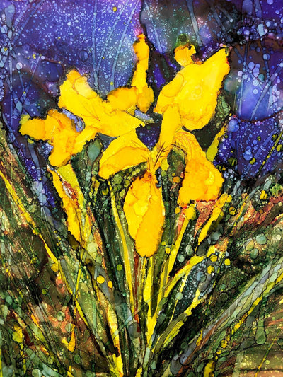Yellow Irises : Blank Greeting Card