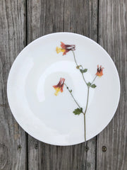 Mixed set of Botanical Porcelain Plates, Size 8.25 inch diameter