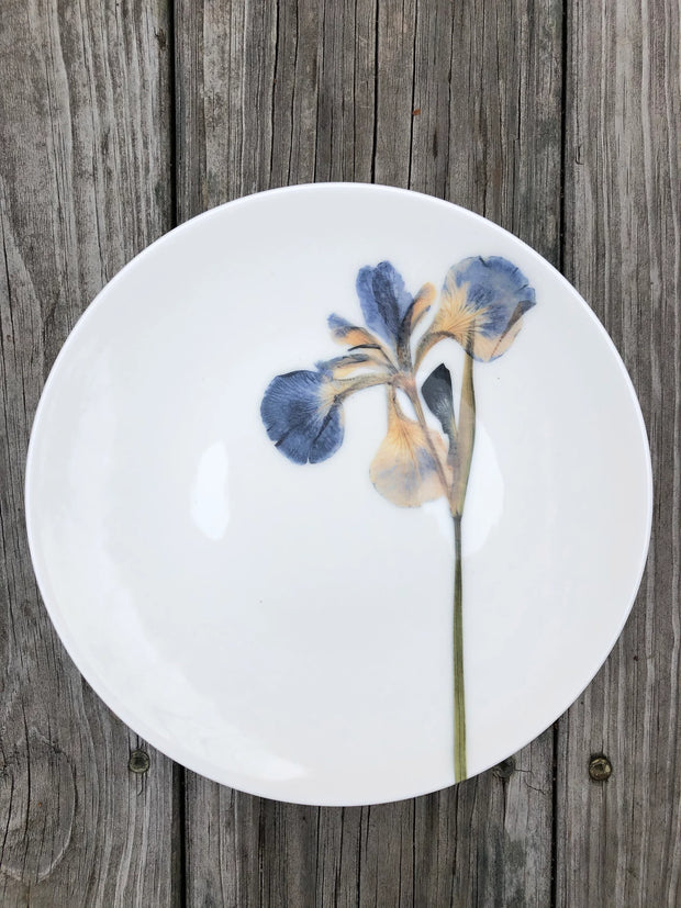 Mixed set of Botanical Porcelain Plates, Size 8.25 inch diameter