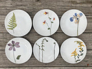 Mixed set of Botanical Porcelain Plates, Size 8.25 inch diameter