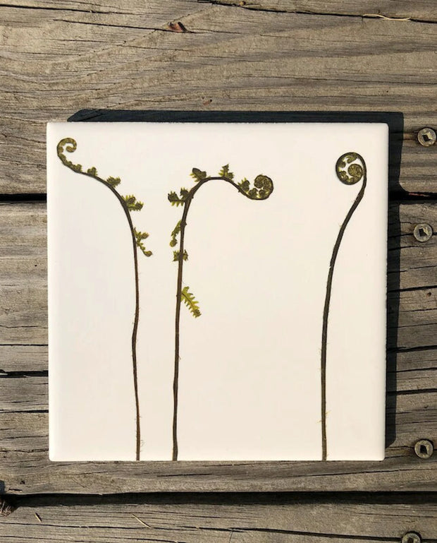 Set of 6 Botanical Ceramic Tiles - Indoor and Outdoor Use
