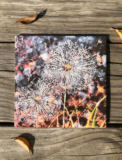 Seeing Double Dandelion Ceramic Tile - Indoor and Outdoor Use