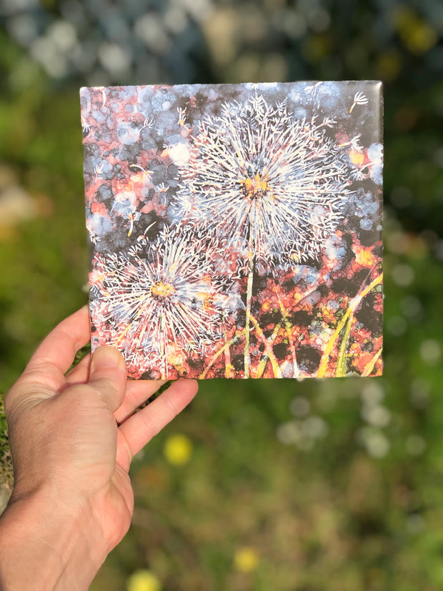 Seeing Double Dandelion Ceramic Tile - Indoor and Outdoor Use