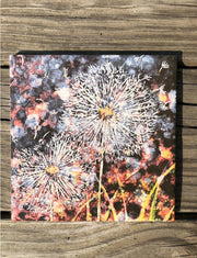 Seeing Double Dandelion Ceramic Tile - Indoor and Outdoor Use