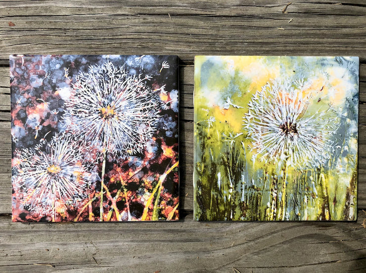 Seeing Double Dandelion Ceramic Tile - Indoor and Outdoor Use