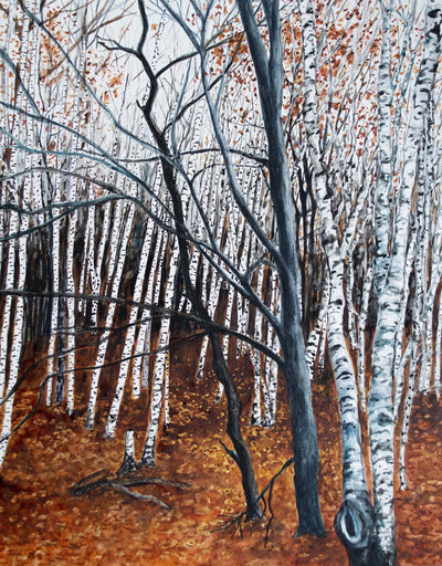 Winter Birch Trees