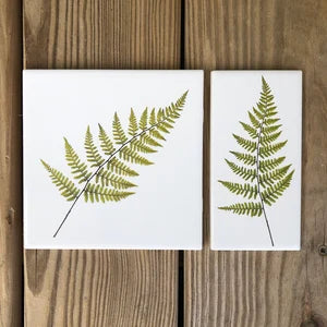 Summer Fern Ceramic Tile - Indoor and Outdoor Use